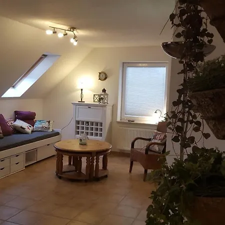 Trekvogels Hoern 아파트