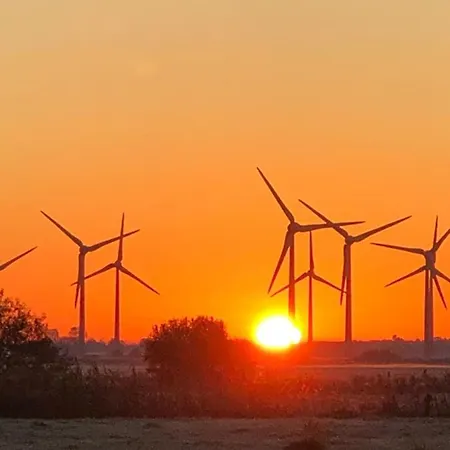 Trekvogels Hoern 돌눔