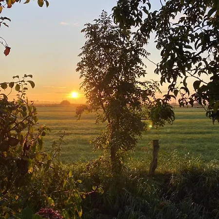 아파트 Trekvogels Hoern *