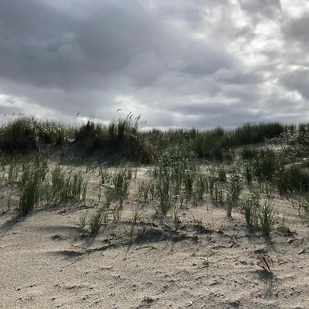 Trekvogels Hoern *