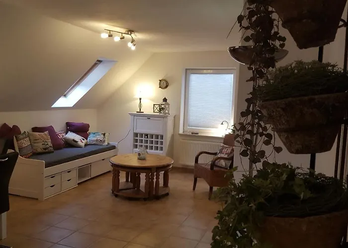 Trekvogels Hoern 公寓