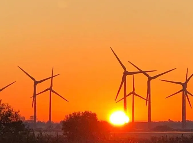 Trekvogels Hoern 多努姆