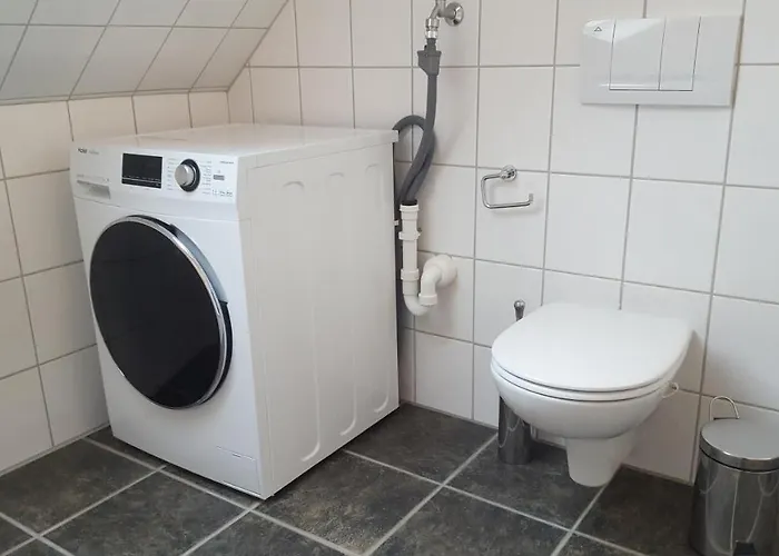 Trekvogels Hoern * 多努姆