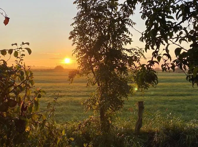 公寓 Trekvogels Hoern *